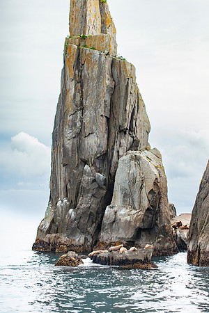 Kenai Fjords