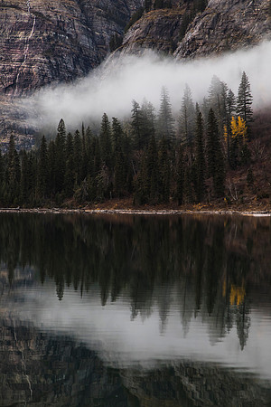 Cloudy Trees at Avalanche Lake Portrait
