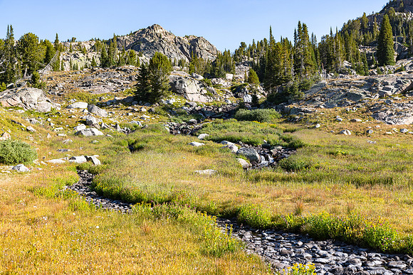 CGNF, AB Wilderness: Jorden Lake (14)