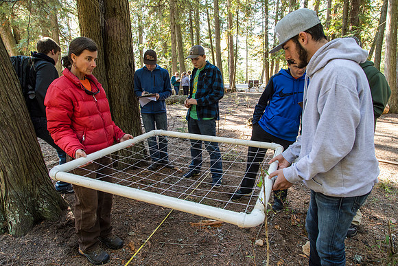 Fish Creek Planting and Monitoring Project 2016 (2)