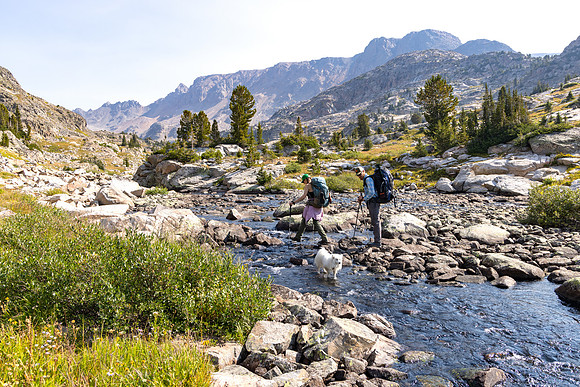 CGNF, AB Wilderness: Flat Rock Lake to Alp Lake (8)