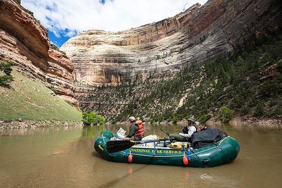 Rafting in Lower Yampa Canyon (5)