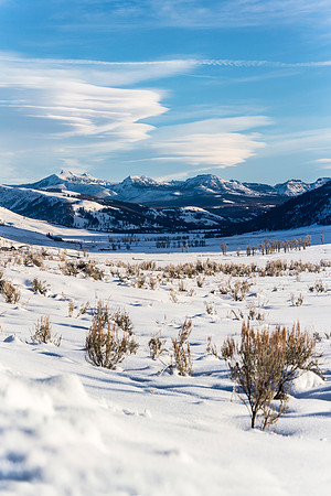 Lamar Valley