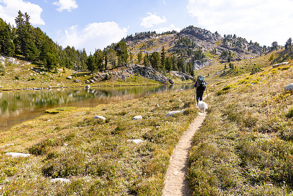 CGNF, AB Wilderness: Trail near Kidney Lake (1)