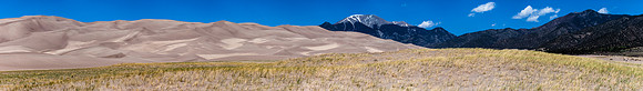 Grassy Dunes