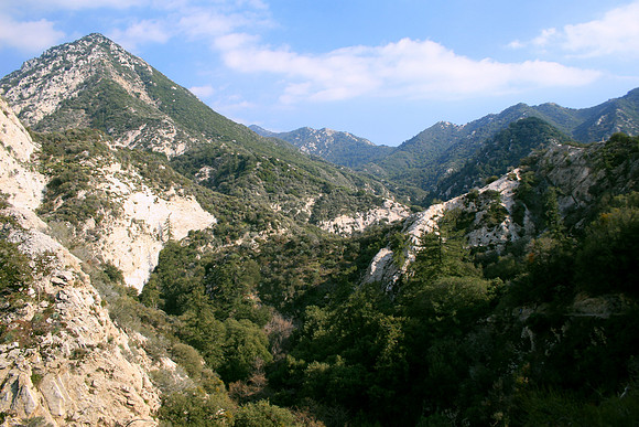 Angeles National Forest