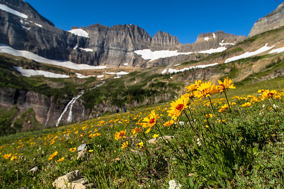 Glacier