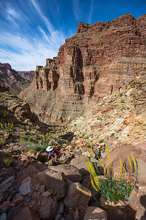 Off-trail Hike in Mile 5 canyon
