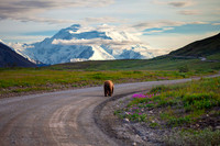 denali