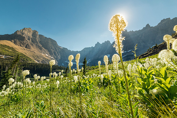 Glacier