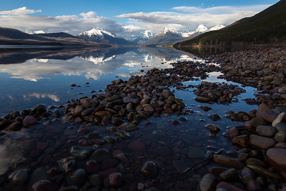 Evening Light on Lake McDonald Shoreline