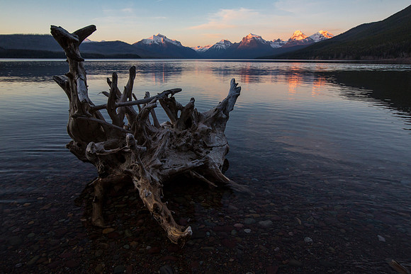 Driftwood and Alpenglow