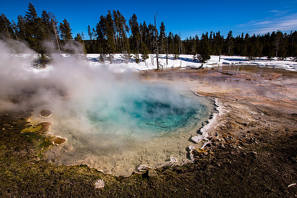 Silex Spring