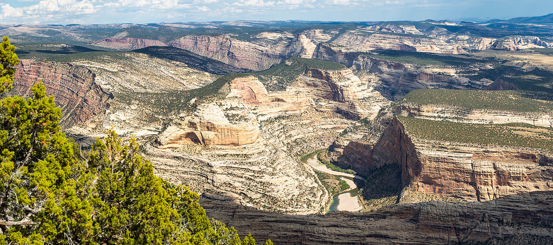 View From Harpers Corner Trail