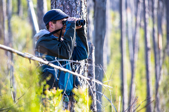 Birding Near Fish Creek