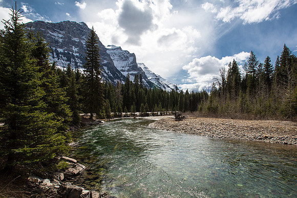 Lake McDonald Creek along the Road