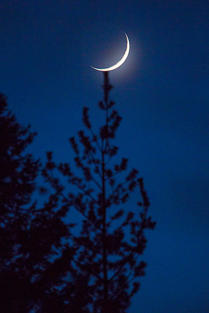 Moon Ornament