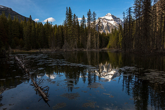 Mount Cannon over Beaver Pond
