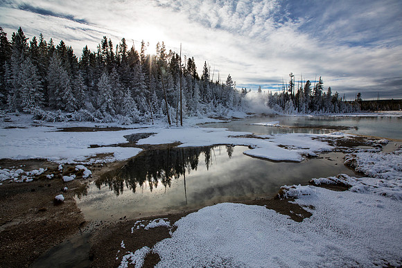 Norris Geyser Basin Reflections