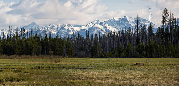 McGee Meadows