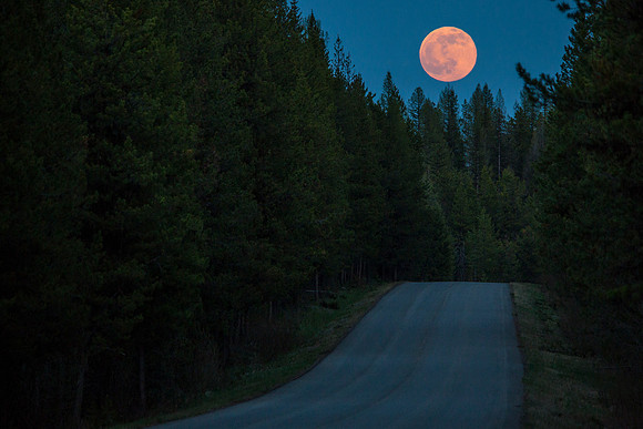 Moonrise over Camas Road