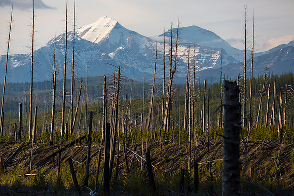 Rainbow Peak and Mount Carter
