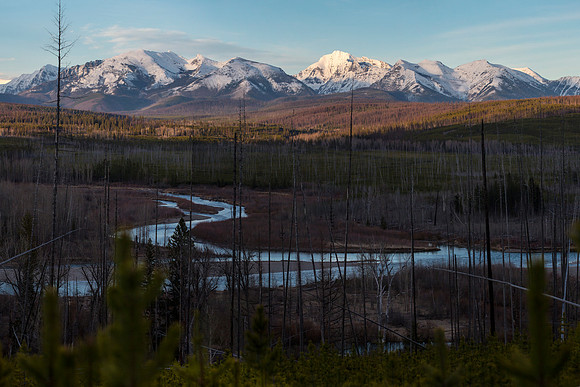 Afternoon Light Along North Fork Road