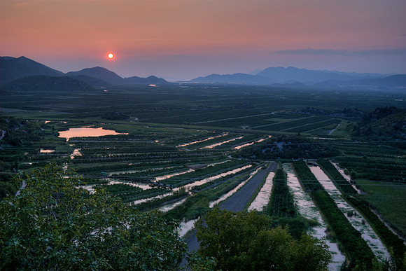 Bosnian Farmland