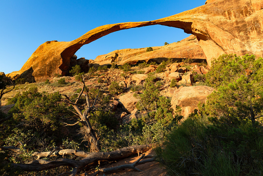 Morning Light at Landscape Arch