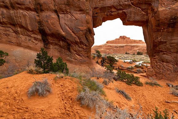 Pine Tree Arch Hiker