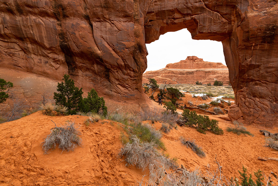 Pine Tree Arch Hiker