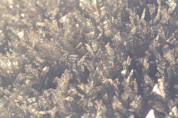 Hoar Frost