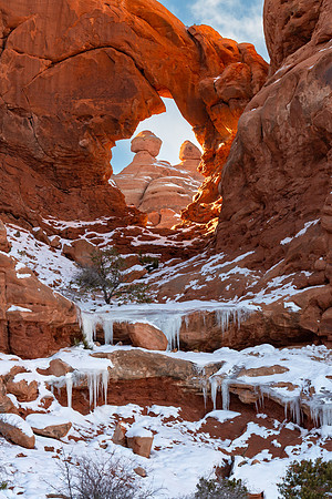 Christmas Tree Arch Icefall Portrait