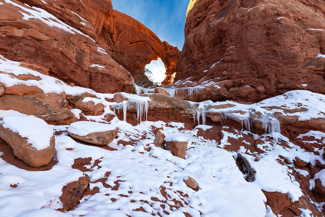 Christmas Tree Arch Icefall Landscape