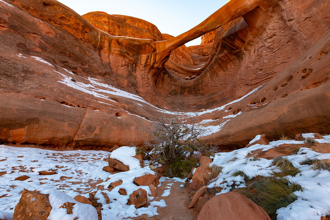 Snowy Ring Arch