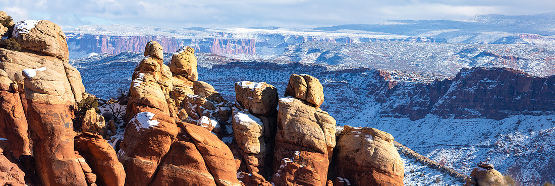 Snowy Fins and Canyons