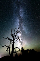 Milky Way, Juniper, and Turret Arch