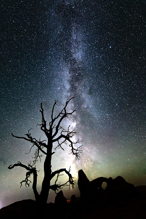 Milky Way, Juniper, and Turret Arch