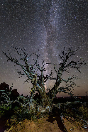MilkyWay Rising Above Juniper