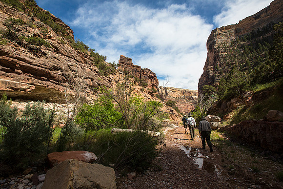 Hiking Near Big Joe Campground