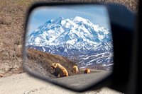 denali