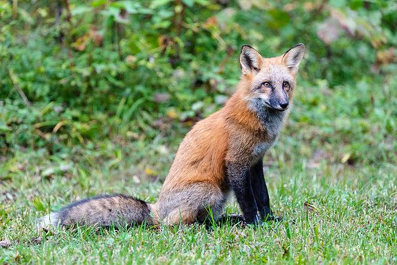 20180925-jwf-0284