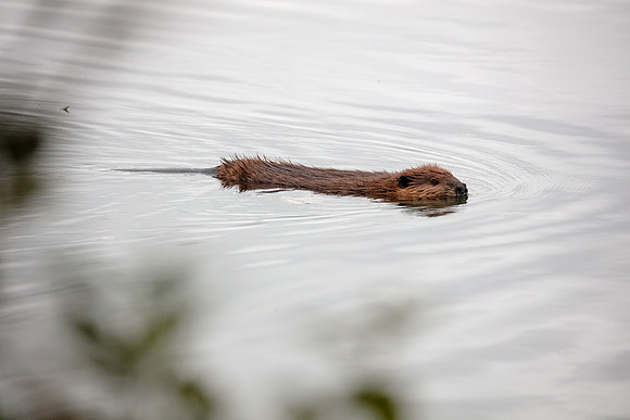 20180925-jwf-0327