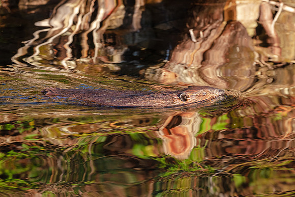 20180927-jwf-0171