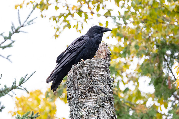 20180929-jwf-0341