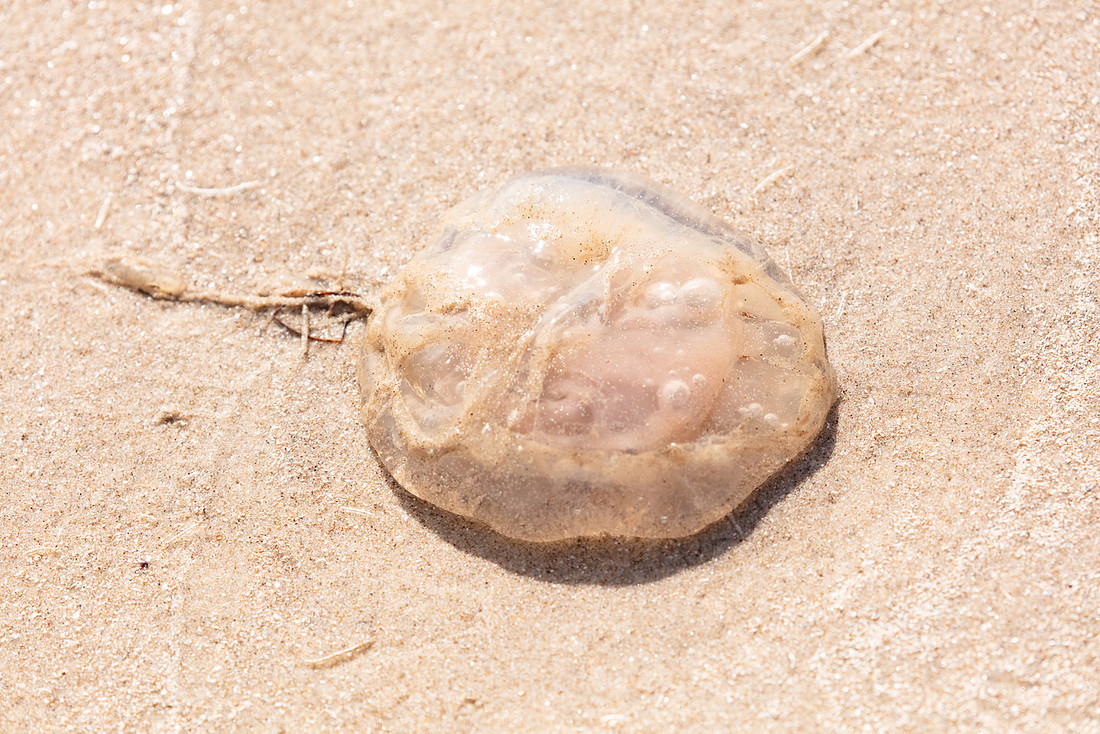 20220125-jwf-0151