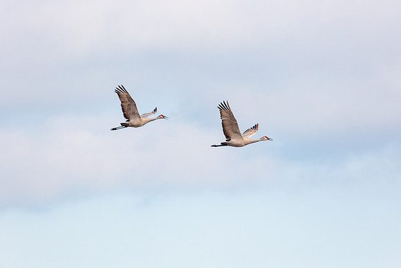 20220125-jwf-0329