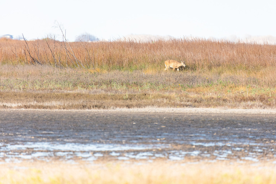 20220125-jwf-0375