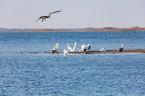 20220125-jwf-0447