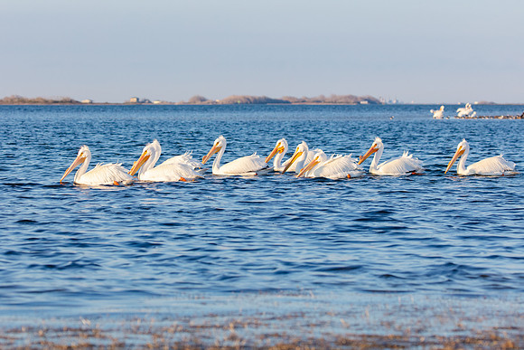 20220125-jwf-0496